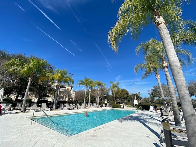 view of swimming pool featuring a patio