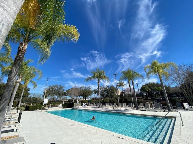 view of pool with a patio area