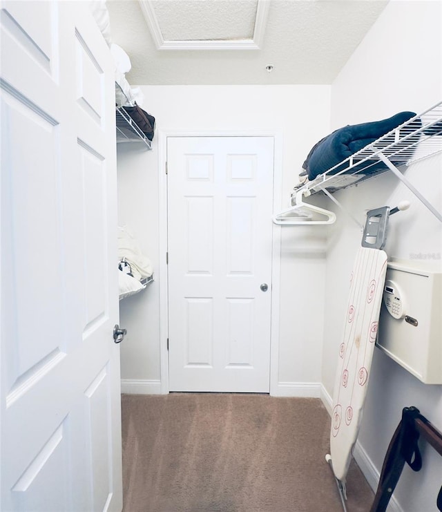 walk in closet featuring carpet