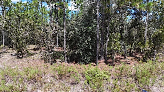 LOT33 SW Neptune Blvd, Dunnellon FL, 34431 land for sale