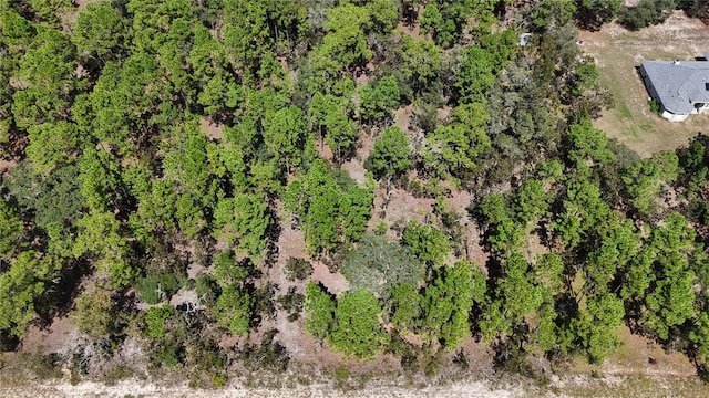 Listing photo 3 for LOT33 SW Neptune Blvd, Dunnellon FL 34431