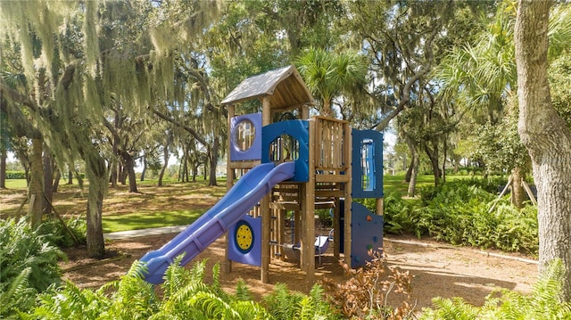 view of jungle gym