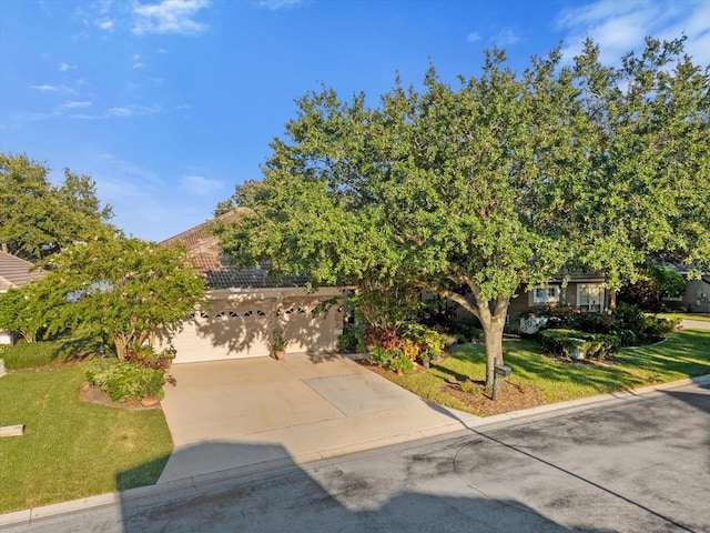 view of property hidden behind natural elements featuring a garage and a front yard