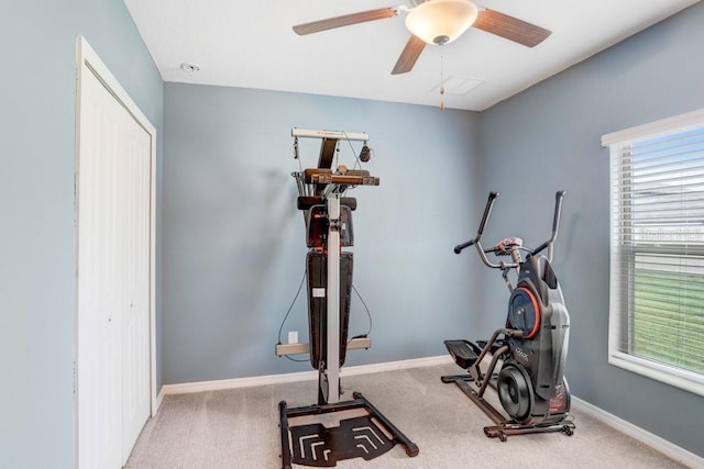 workout area featuring ceiling fan and carpet flooring