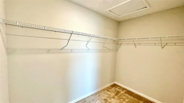 walk in closet featuring carpet flooring