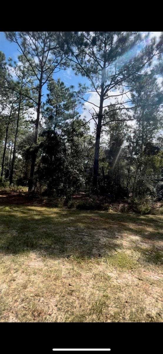 SW 64 Street Rd, Ocala FL, 34473 land for sale