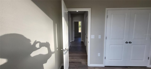 corridor featuring dark wood-type flooring