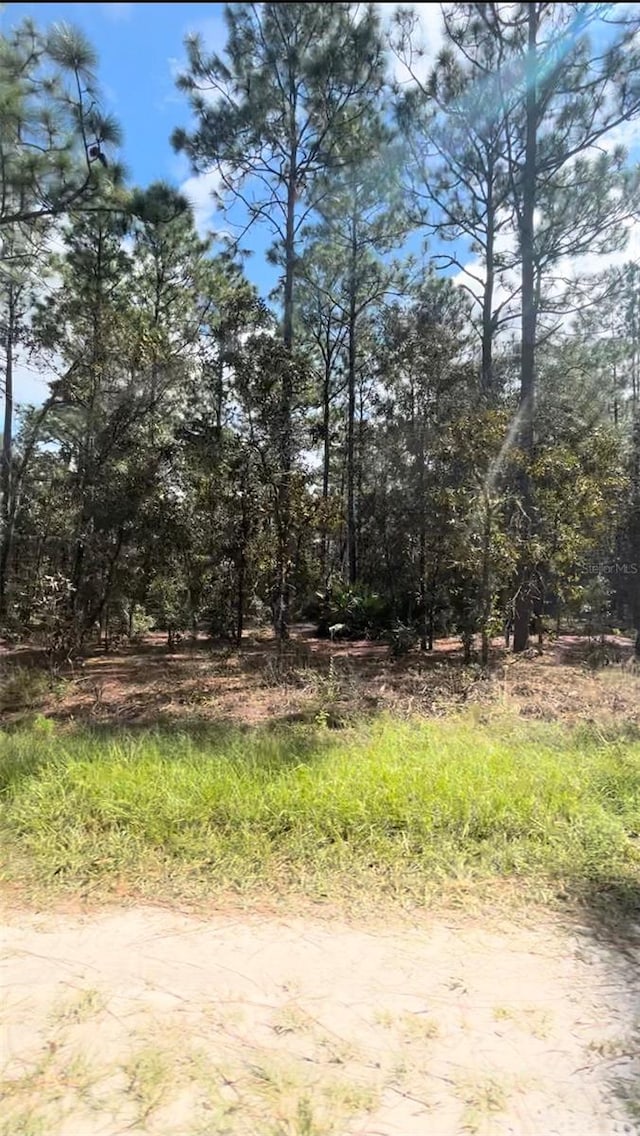 SW 131st Ave, Ocala FL, 34481 land for sale