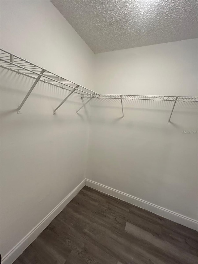 walk in closet featuring dark wood-type flooring