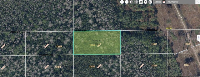 Dill Rd, Orlando FL, 32820 land for sale