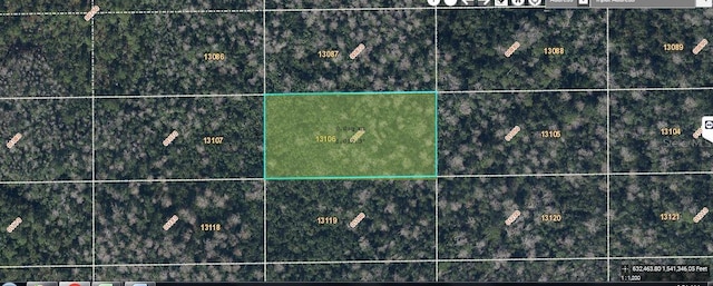 Dill Rd, Orlando FL, 32820 land for sale