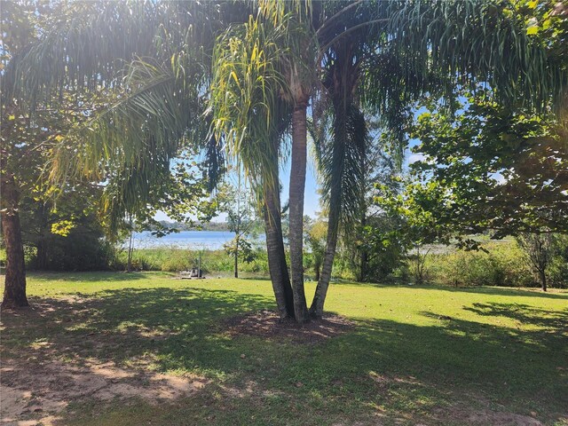 14902 Arrena Rd, Winter Garden, FL 34787 - view of grassy yard featuring a water view