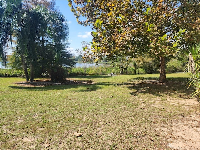 14902 Arrena Rd, Winter Garden, FL 34787 - view of green lawn