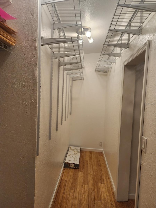 spacious closet featuring wood-type flooring