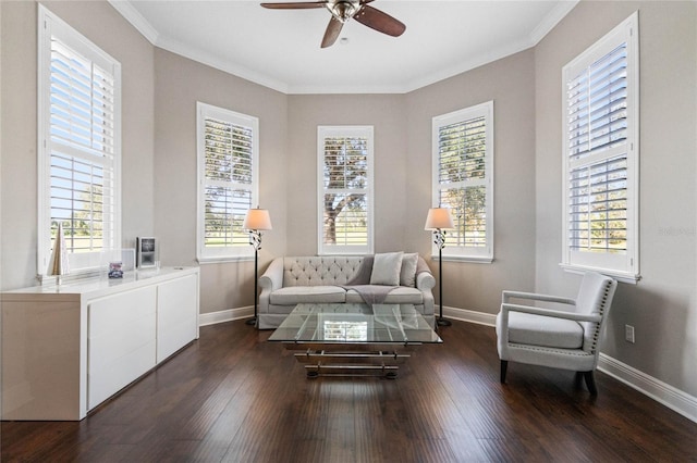 sitting room with ceiling fan, crown molding, a wealth of natural light, and dark hardwood / wood-style floors