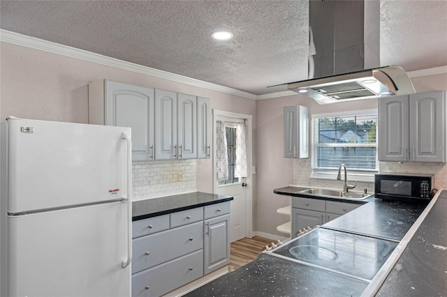 kitchen with sink, gray cabinets, crown molding, exhaust hood, and white refrigerator