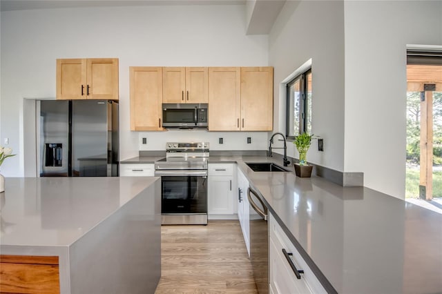 kitchen featuring stainless steel appliances, light hardwood / wood-style flooring, plenty of natural light, and sink