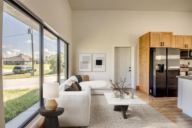 living room featuring a high ceiling, light hardwood / wood-style floors, and plenty of natural light