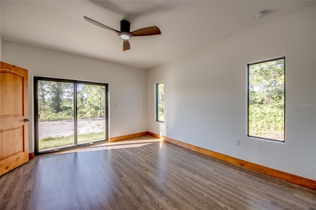 unfurnished room featuring ceiling fan and light wood-type flooring