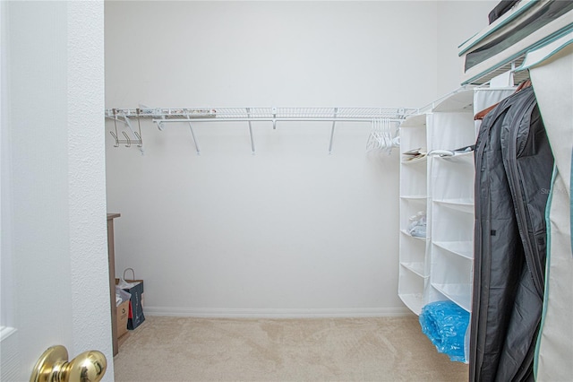 walk in closet featuring light carpet