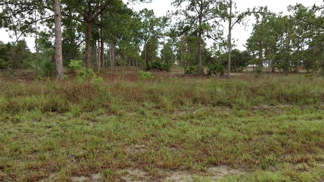 4006 E 5th St, Lehigh Acres FL, 33972 land for sale