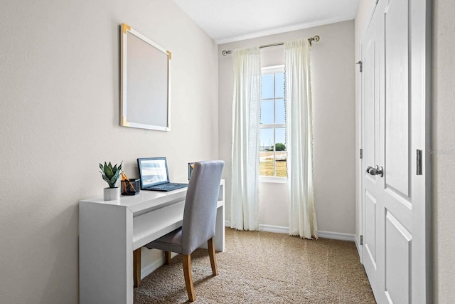 office area featuring carpet flooring