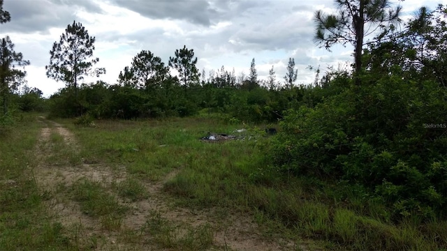 1508 Washington Ave, Lehigh Acres FL, 33972 land for sale