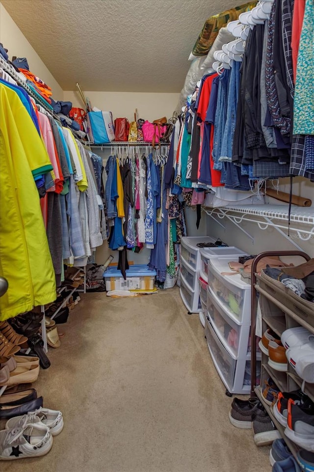 walk in closet with carpet floors