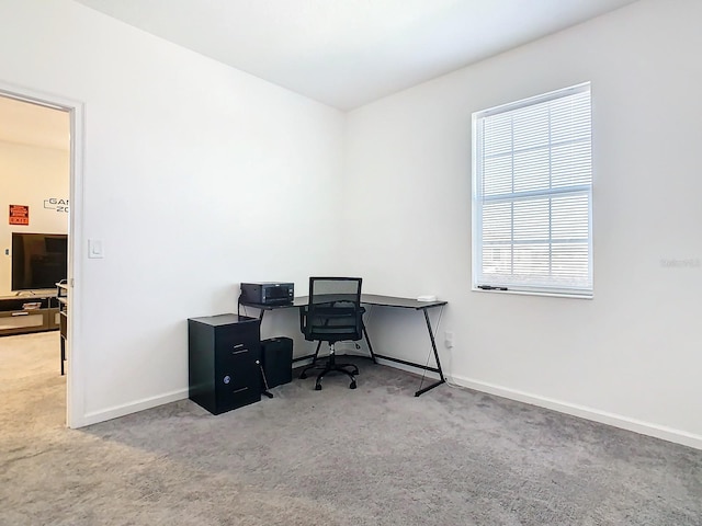 office area featuring carpet