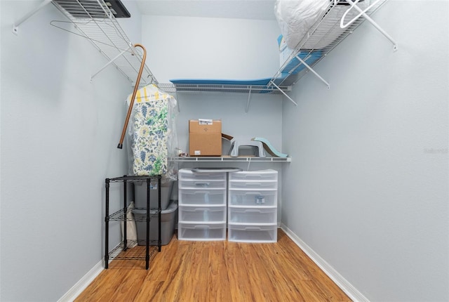 spacious closet featuring wood-type flooring