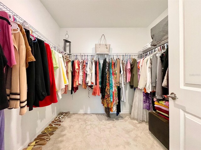 1393 Asher Mason Ave, Kissimmee, FL 34744 - walk in closet with carpet
