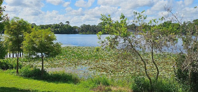 593 Lake Wildmere Cv, Longwood, FL 32750 - photo 34