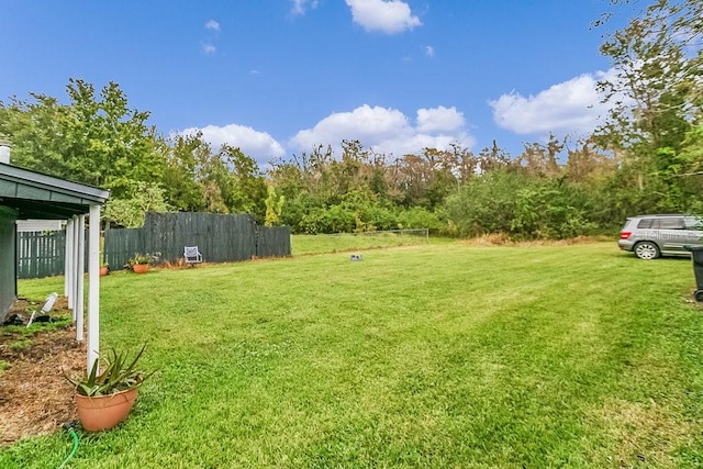 view of yard