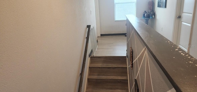 stairway with hardwood / wood-style flooring