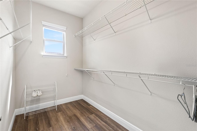 walk in closet featuring wood-type flooring