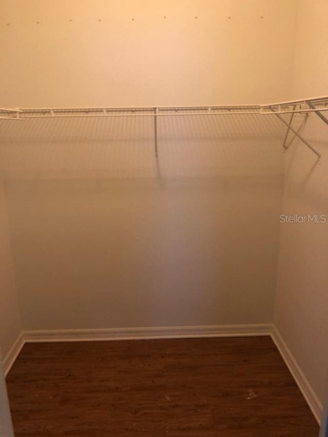 spacious closet with dark wood-type flooring