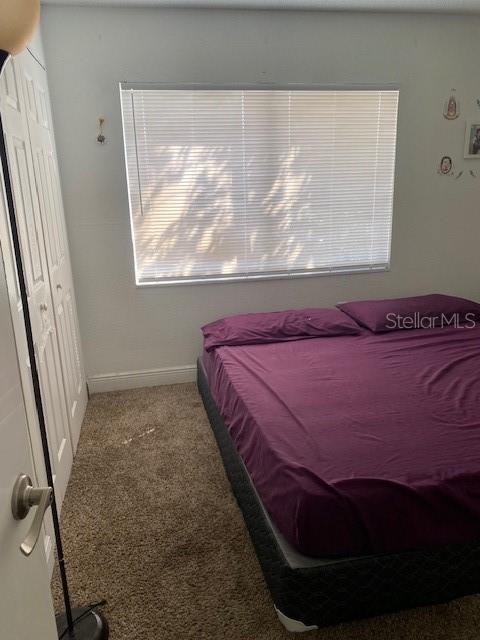 bedroom featuring carpet flooring