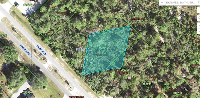 Park Ave, Indian Lake Estates FL, 33855 land for sale