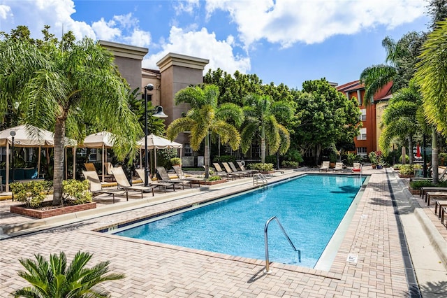 view of swimming pool with a patio area