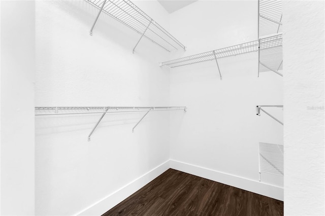 spacious closet featuring dark wood-style floors