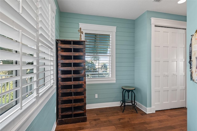 interior space featuring wood walls and dark hardwood / wood-style floors