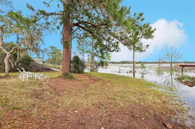 view of yard featuring a water view