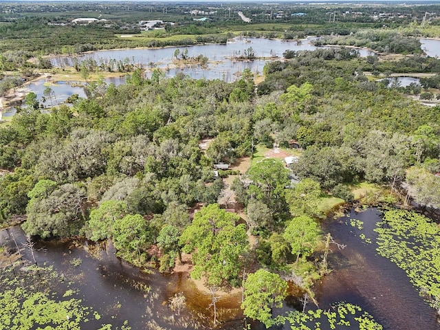 bird's eye view featuring a water view and a view of trees
