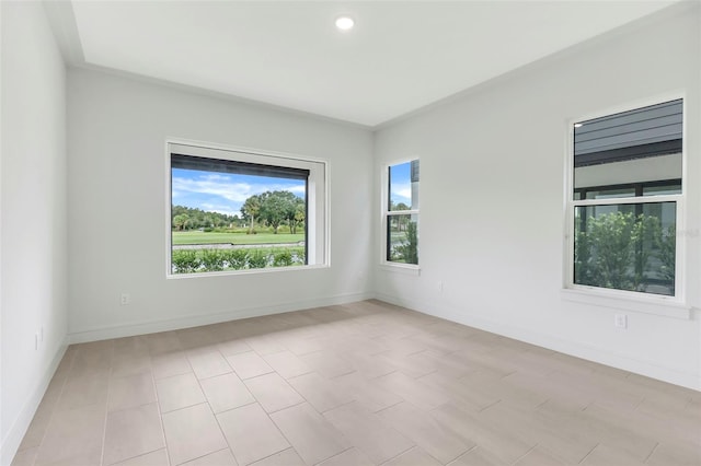 spare room featuring ornamental molding