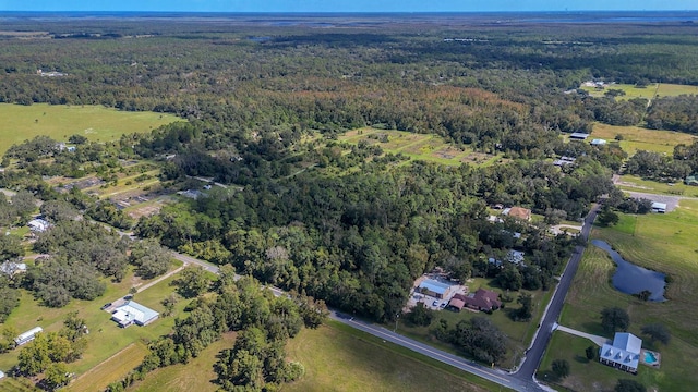 Taylor Creek Rd, Christmas FL, 32709 land for sale