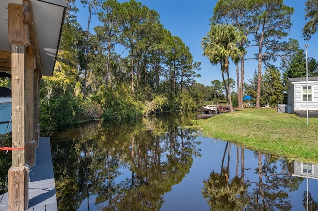 12009 Eagle Point Ct, Leesburg, FL 34788 - photo 36