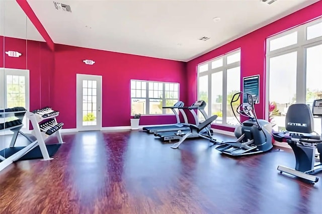 exercise room featuring a wealth of natural light