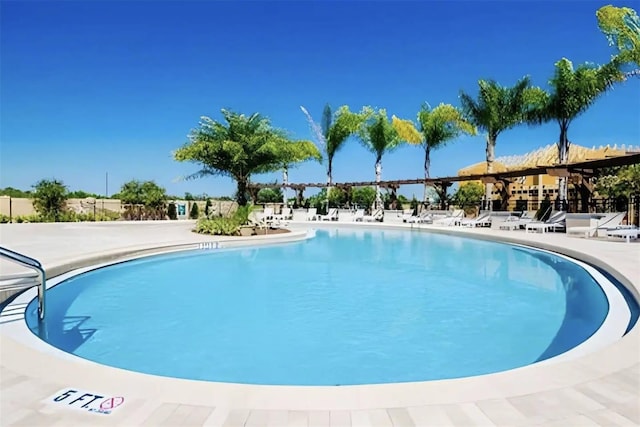 view of pool featuring a patio