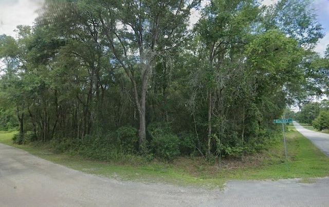 3296 E Gladys St, Inverness FL, 34453 land for sale