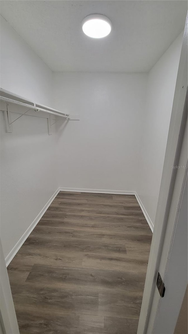 walk in closet featuring dark hardwood / wood-style flooring